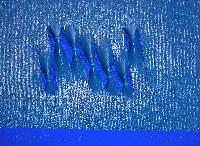 img/Respiri - 2/373 - profondo.jpg